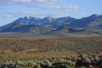 Pueblo Mountains